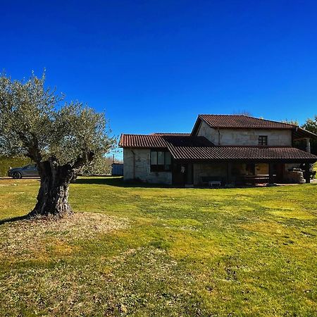 Habitaciones Con Bano Individual En Casa De Campo. Piscina. Amoeiro Dış mekan fotoğraf